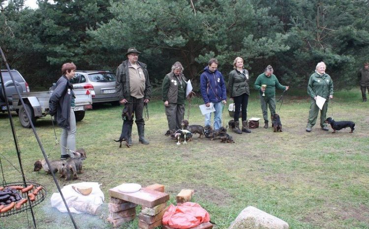 Regionalny Konkurs pracy norowców – 2016r.